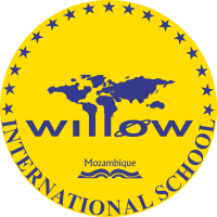 ifxa54c88803740cb2a_eduresized_willow